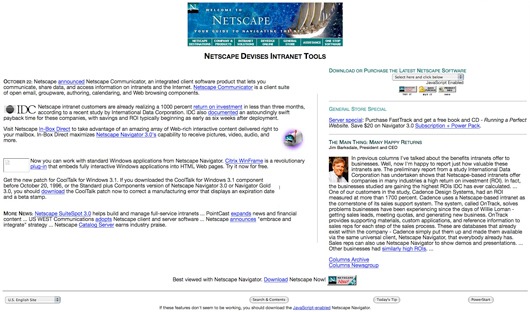 netscape-in-1996